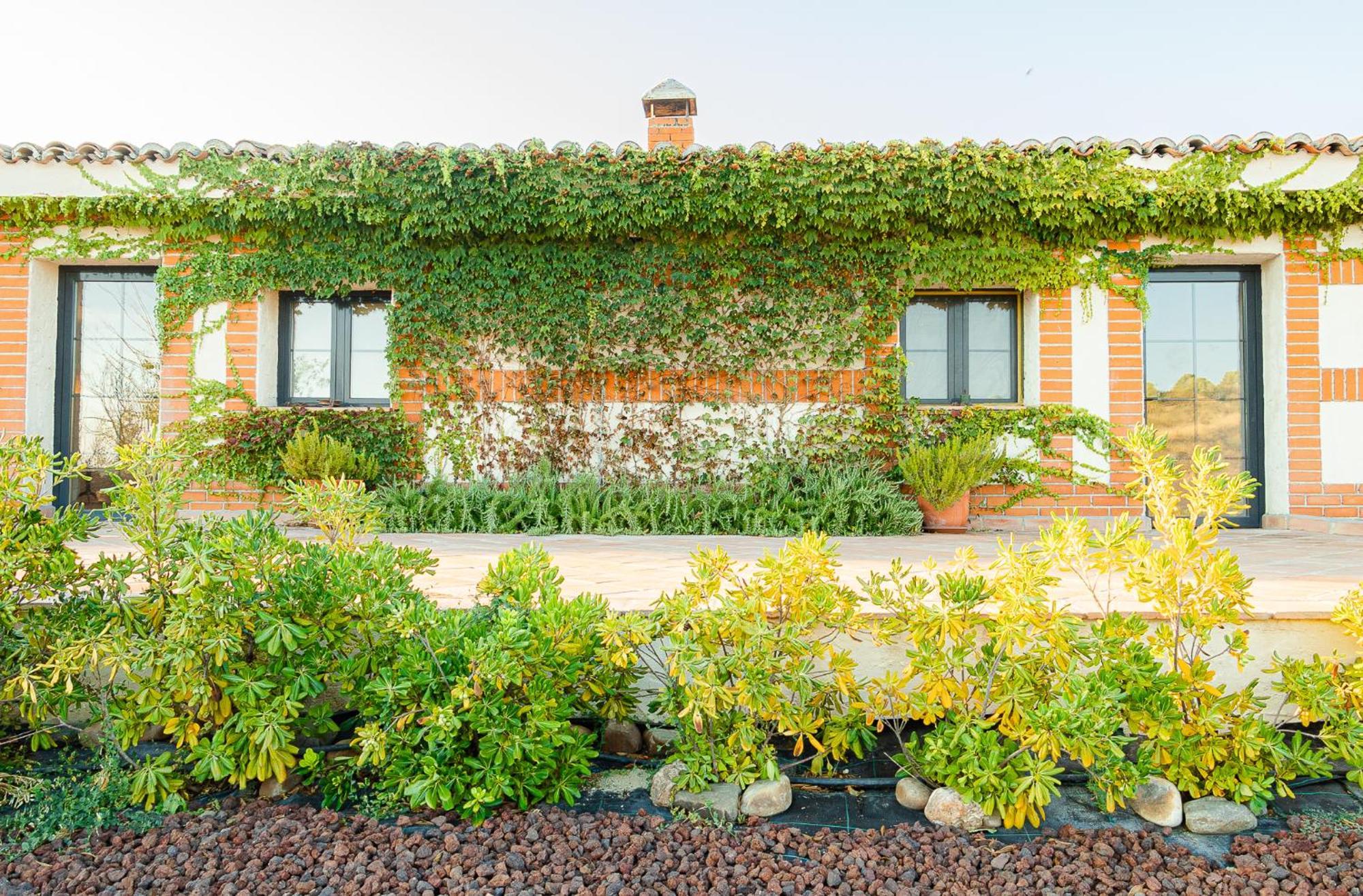 A 30 Min Del Puy De Fou Y Toledo Con Piscina, Bbcoa, Ac, Free Wifi, Jardin, Terraza Con Magnificas Vistas Villa Chozas de Canales Екстериор снимка